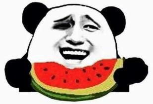 吃瓜群众每日吃瓜视频,跟随吃瓜群众，揭秘娱乐圈新鲜事