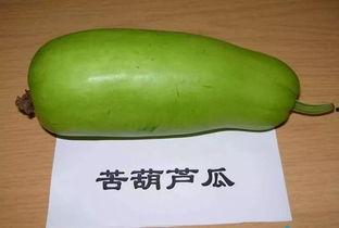 葫芦瓜咋样吃最好吃视频,视频揭秘最佳食用技巧