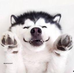 吃瓜被吓视频素材,吃瓜群众遭遇惊悚视频，心跳加速的惊悚体验