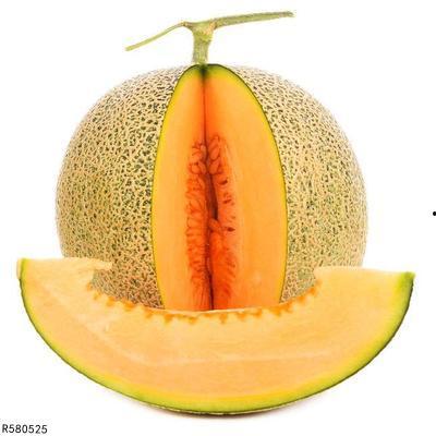 黄蛉可以吃哈密瓜吗视频,探索昆虫与水果的奇妙组合