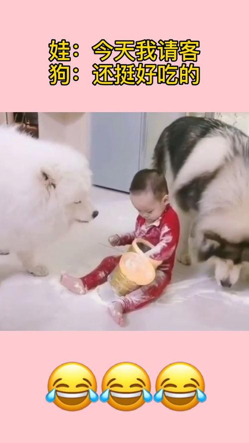 萌宠萌娃齐吃瓜视频,萌态百出萌翻网友