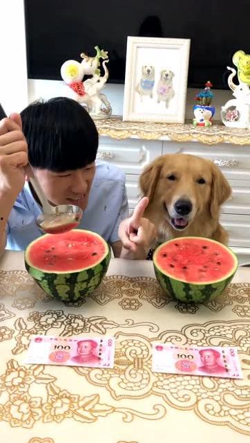 吃瓜整蛊套路大全视频,视频大全带你领略欢乐陷阱