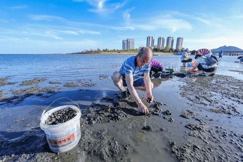 威海海边吃瓜事件视频播放