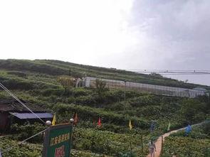 邛海健身房吃瓜事件视频