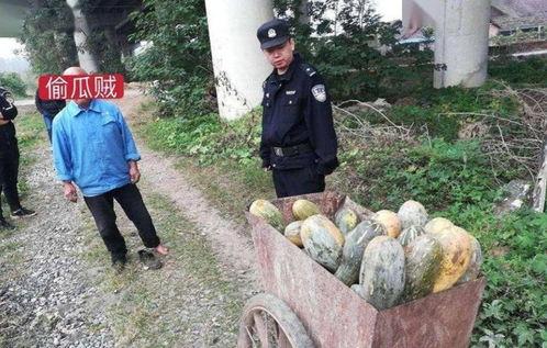 交城县吃瓜事件真相视频,真相视频曝光背后的真相