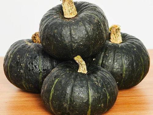 如何给宝宝吃贝贝瓜视频