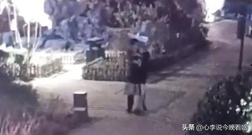 林州吃瓜大事件视频,一场全民参与的乡村狂欢