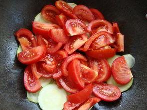 给小瓜吃番茄的视频,小瓜品尝番茄美味瞬间