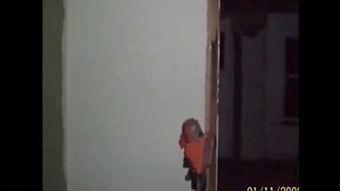 诡异事件吃瓜视频大全,吃瓜视频大全背后的惊悚真相