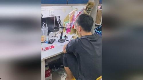 恋情吃瓜男博主视频播放,揭秘恋情吃瓜男博主视频的火爆播放之谜