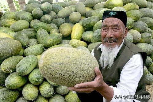 新疆人吃哈密瓜的视频,哈密瓜盛宴，尽享甜蜜诱惑